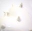 Porzellanherz | spineus | denzherz | closeup