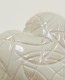 Venia_Close_up