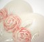 close_up | rosen |  Porzellan Geschenk Denz Herz